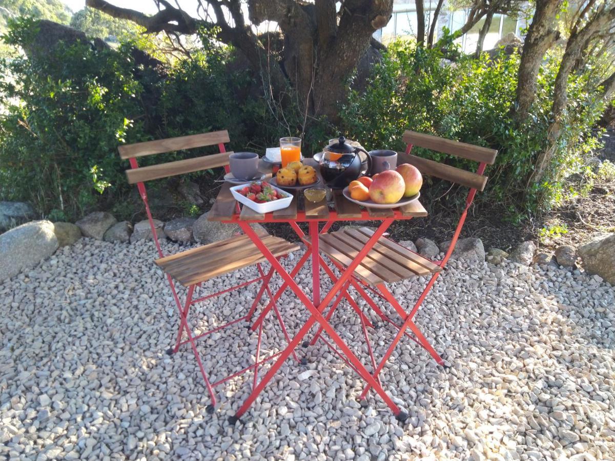 La Cera Farm Camping B&B Санта-Тереза-Галлура Екстер'єр фото