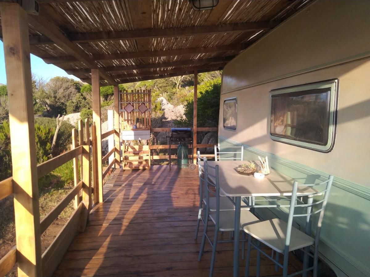 La Cera Farm Camping B&B Санта-Тереза-Галлура Екстер'єр фото