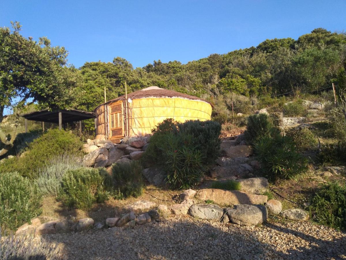 La Cera Farm Camping B&B Санта-Тереза-Галлура Екстер'єр фото
