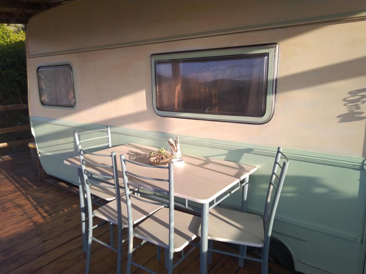 La Cera Farm Camping B&B Санта-Тереза-Галлура Екстер'єр фото