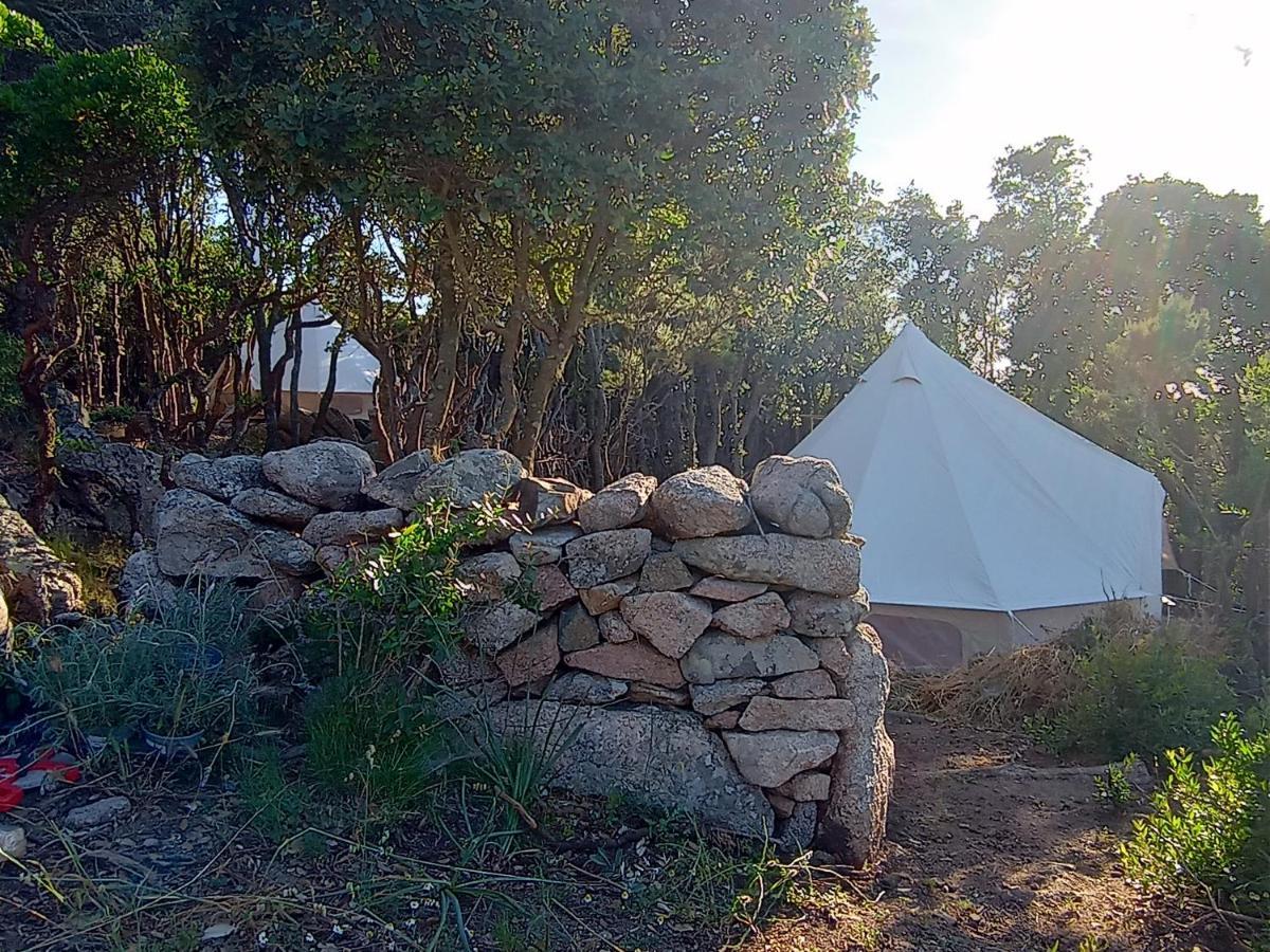 La Cera Farm Camping B&B Санта-Тереза-Галлура Екстер'єр фото