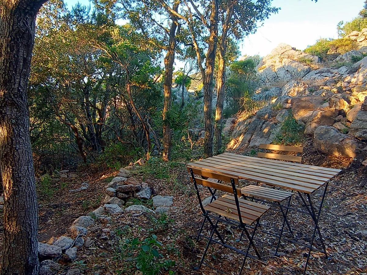 La Cera Farm Camping B&B Санта-Тереза-Галлура Екстер'єр фото