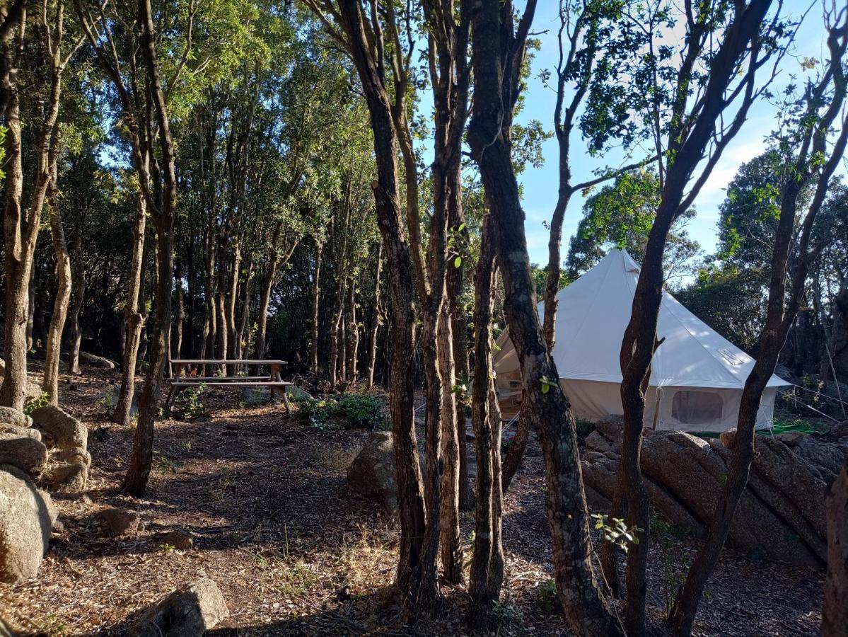 La Cera Farm Camping B&B Санта-Тереза-Галлура Екстер'єр фото