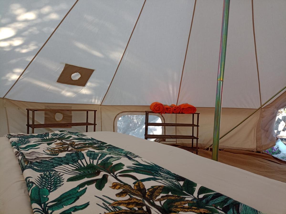 La Cera Farm Camping B&B Санта-Тереза-Галлура Екстер'єр фото