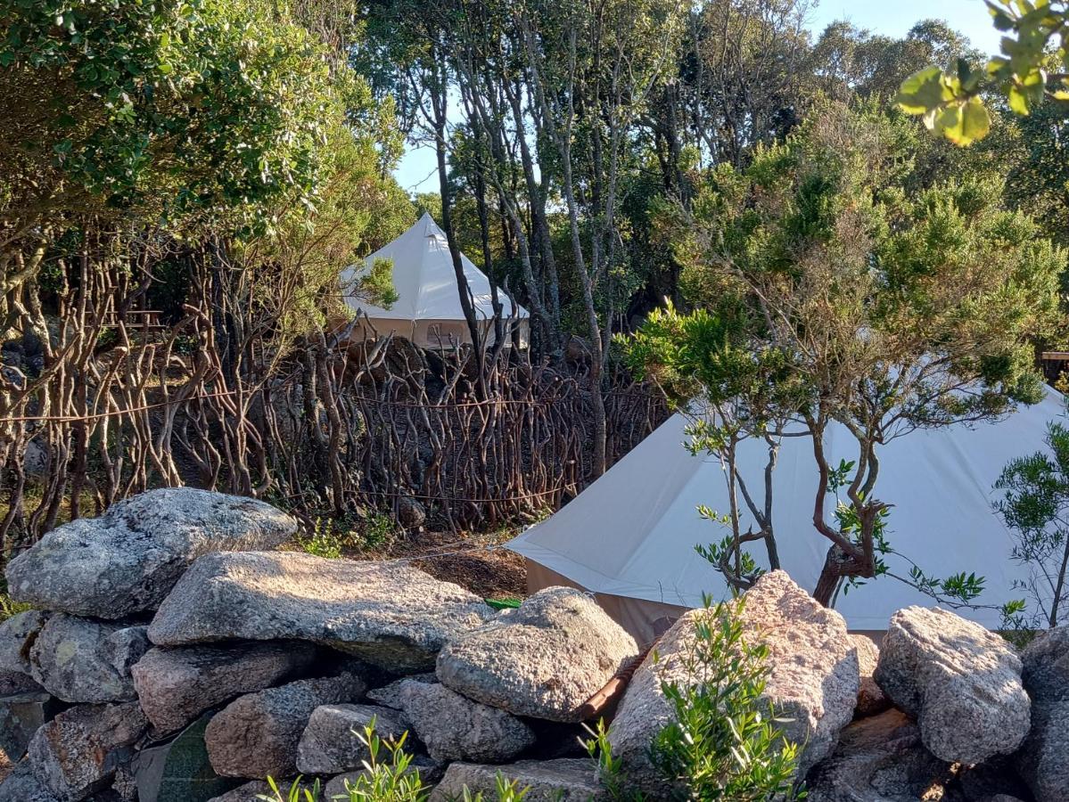 La Cera Farm Camping B&B Санта-Тереза-Галлура Екстер'єр фото