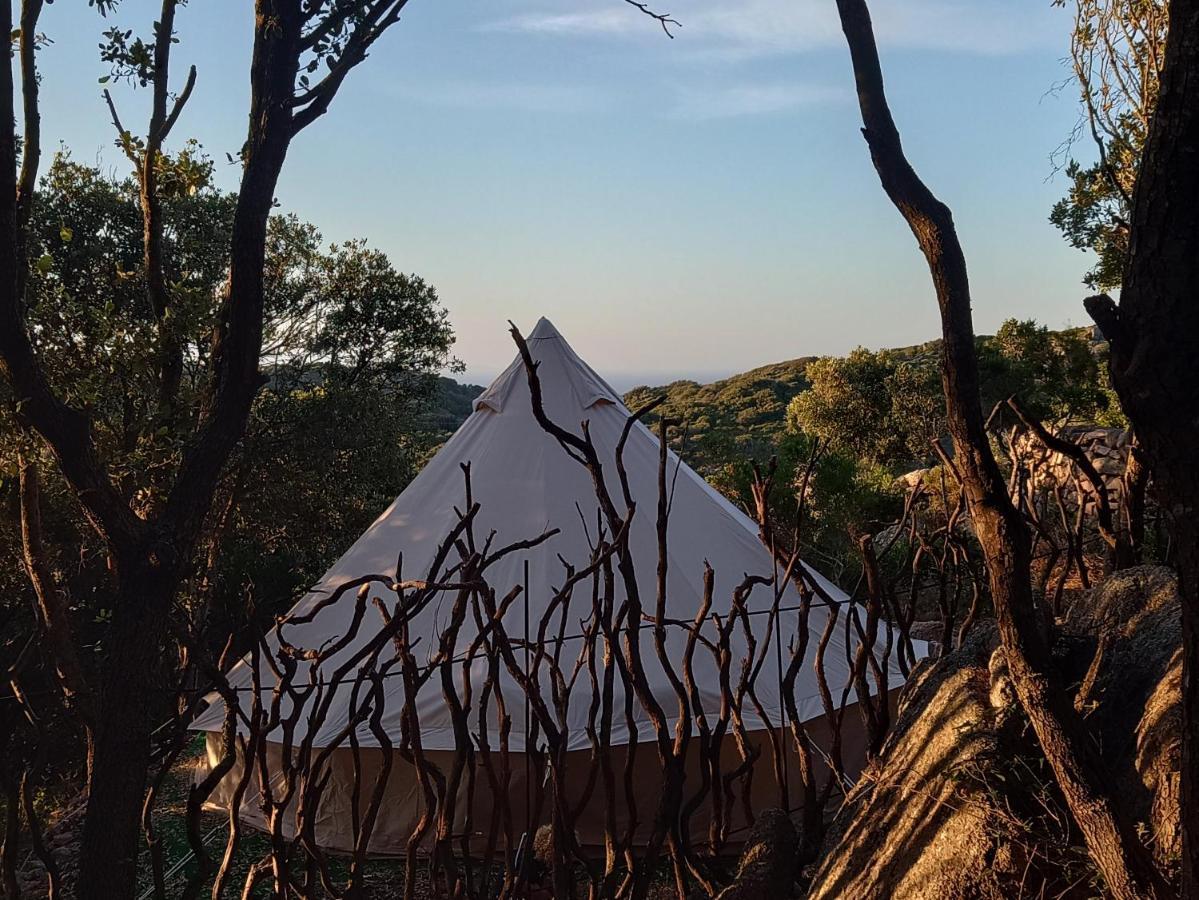 La Cera Farm Camping B&B Санта-Тереза-Галлура Екстер'єр фото
