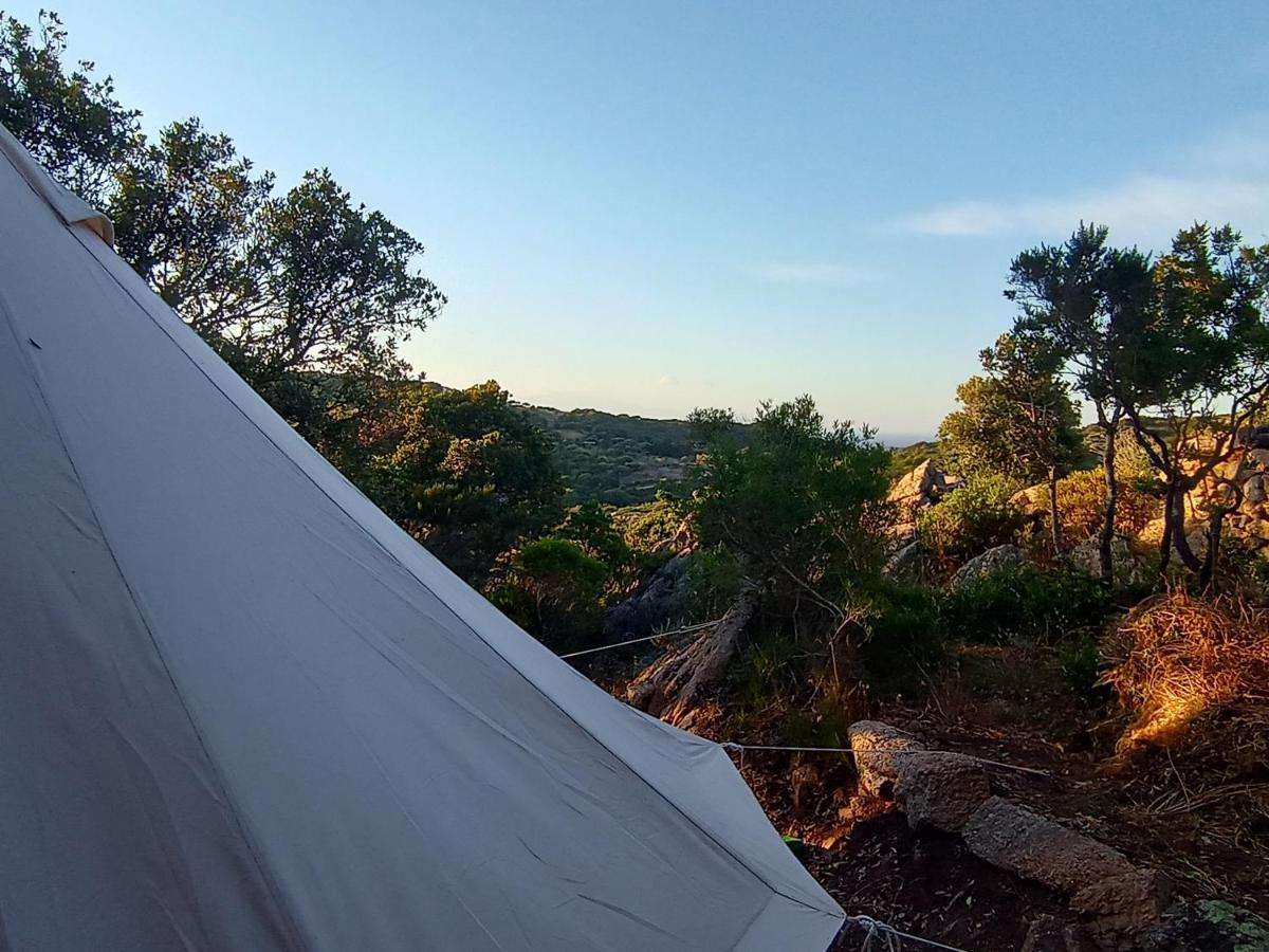 La Cera Farm Camping B&B Санта-Тереза-Галлура Екстер'єр фото