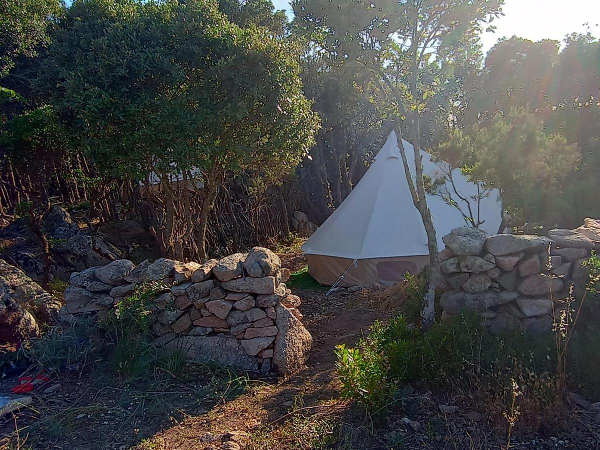 La Cera Farm Camping B&B Санта-Тереза-Галлура Екстер'єр фото