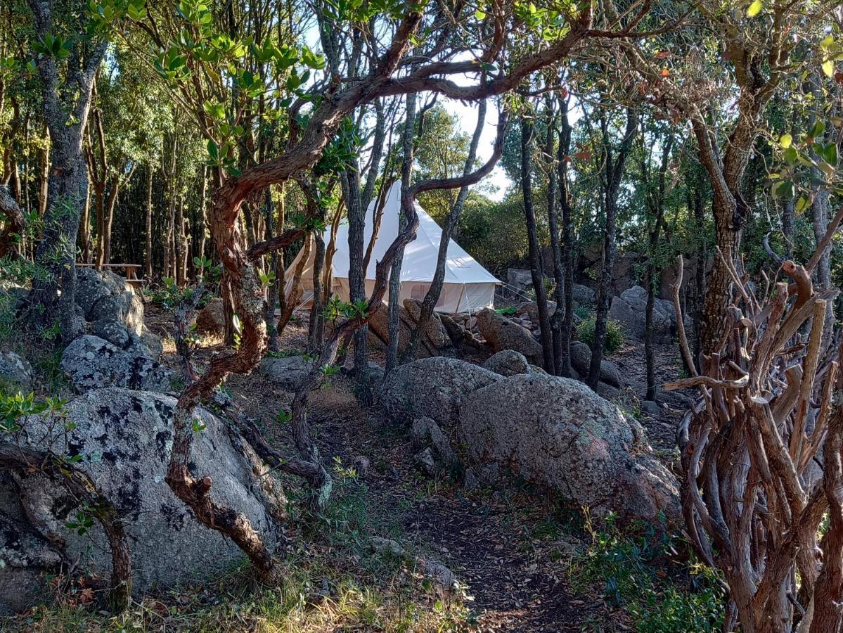 La Cera Farm Camping B&B Санта-Тереза-Галлура Екстер'єр фото