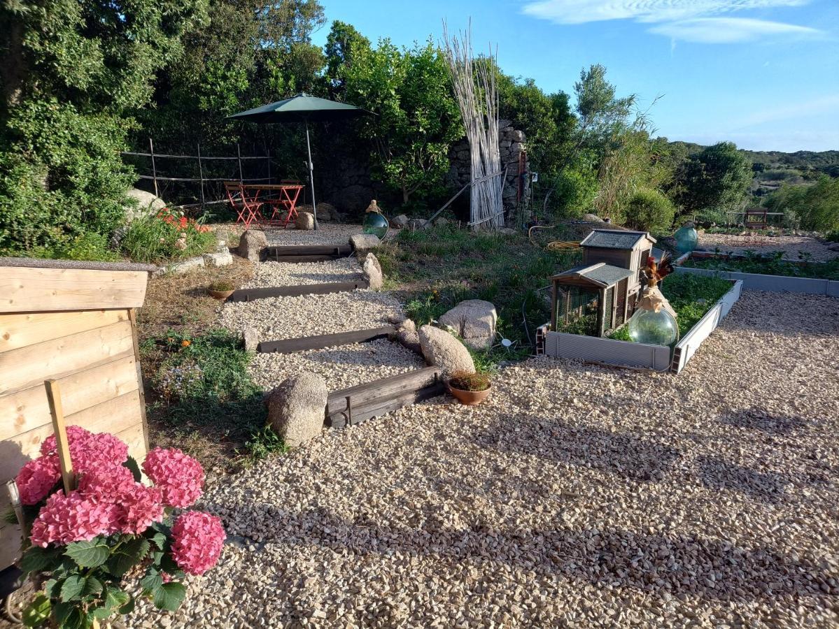 La Cera Farm Camping B&B Санта-Тереза-Галлура Екстер'єр фото