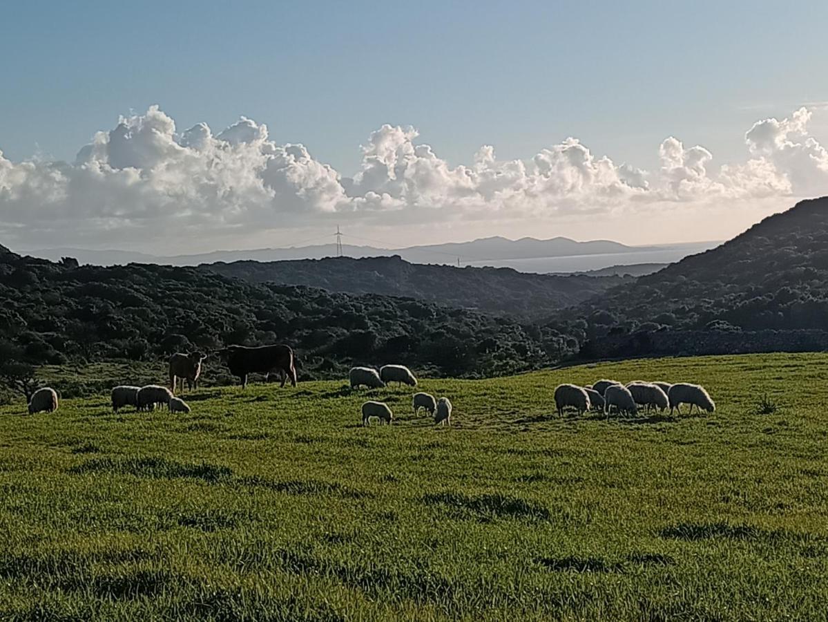 La Cera Farm Camping B&B Санта-Тереза-Галлура Екстер'єр фото