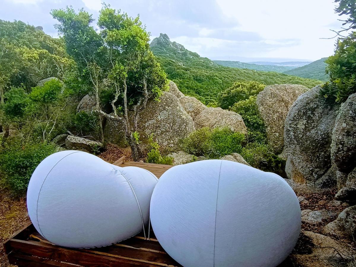 La Cera Farm Camping B&B Санта-Тереза-Галлура Екстер'єр фото