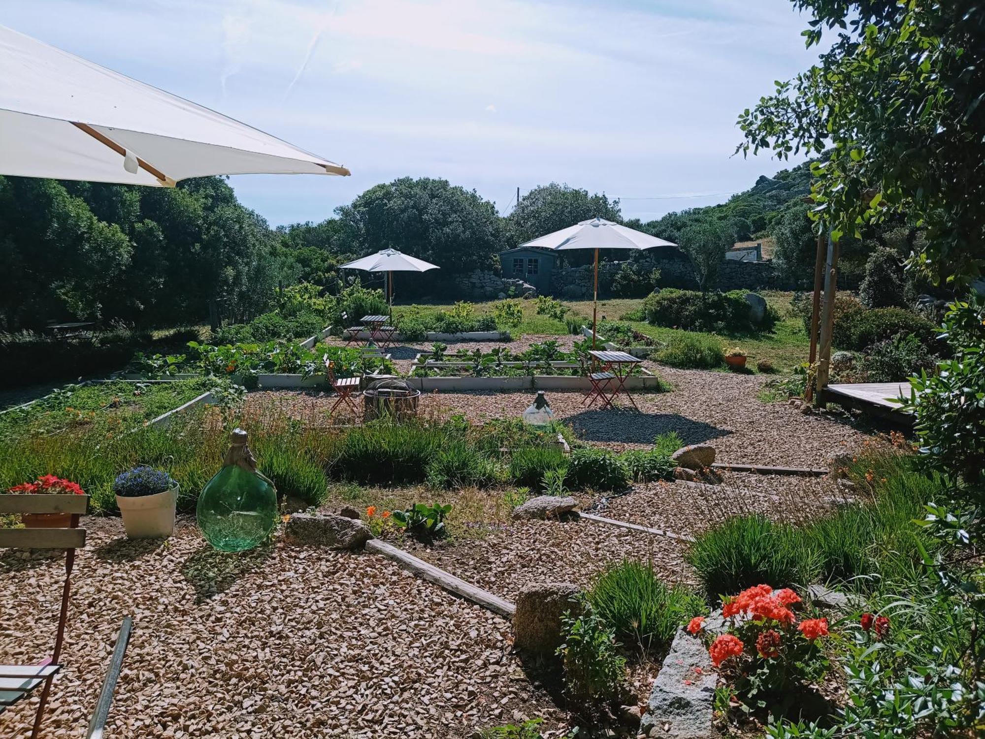 La Cera Farm Camping B&B Санта-Тереза-Галлура Екстер'єр фото
