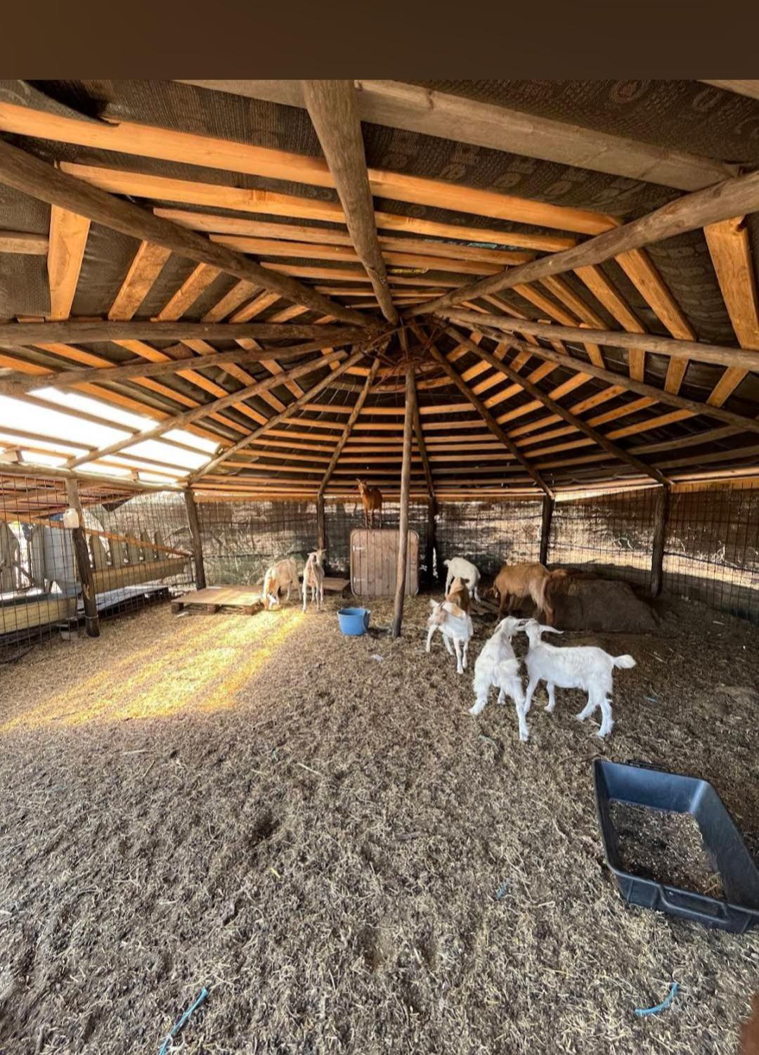 La Cera Farm Camping B&B Санта-Тереза-Галлура Екстер'єр фото